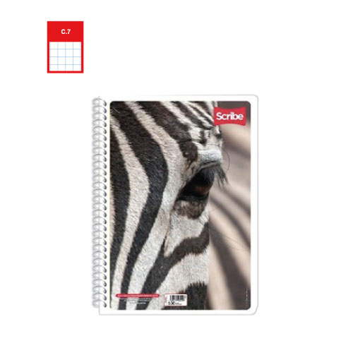 Cuaderno Scribe Forma Francesa, c/100H, Cuadro Grande